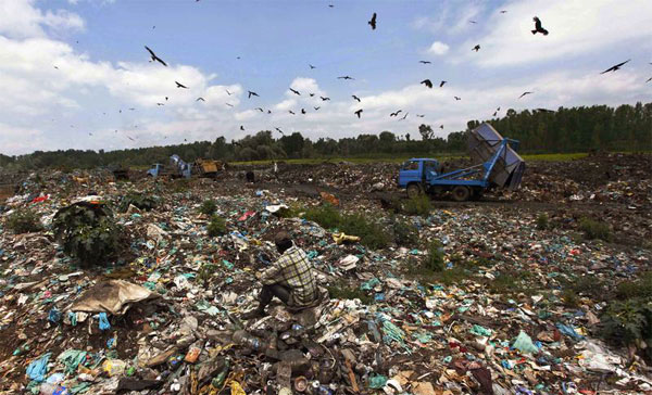 india environment 600