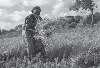 lady farmer