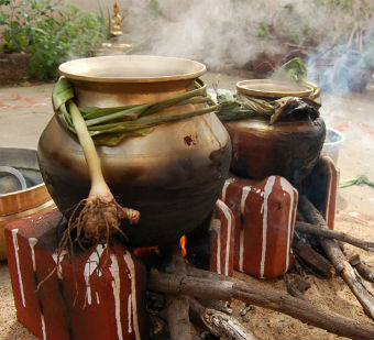 pongal festival