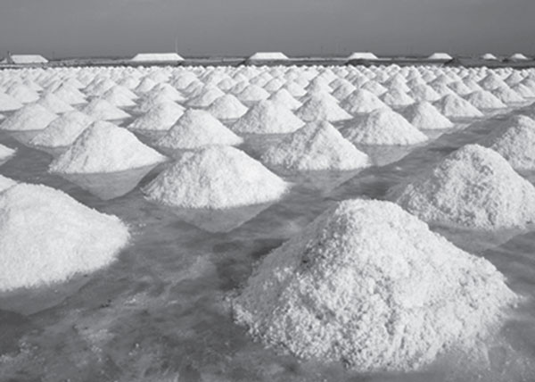 salt