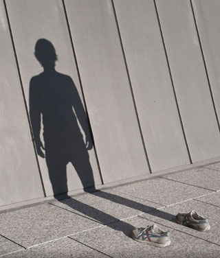 shadow 320
