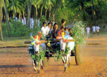 village culture
