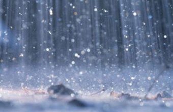 rain 220