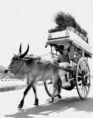 bullock cart