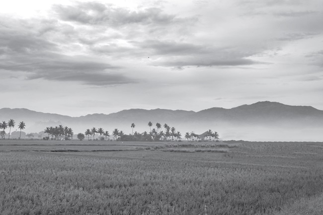 farm land tamilnadu