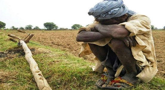 indian farmer in worry