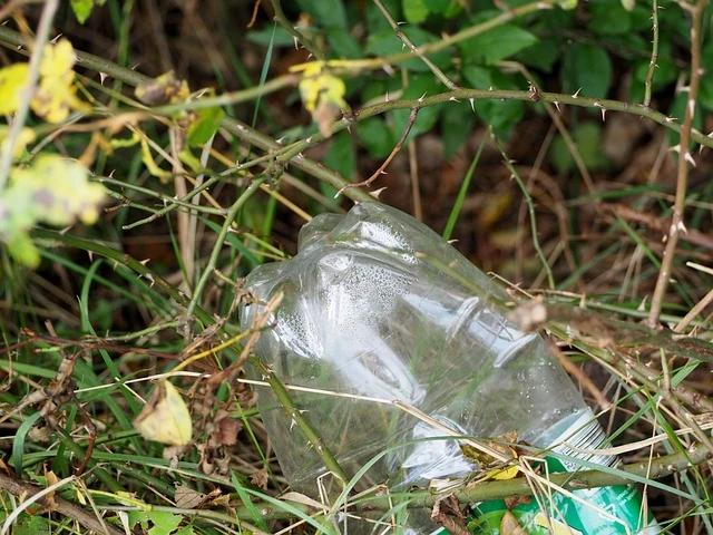 plastic bottle 640