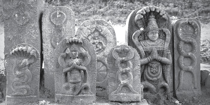 tn sculptures 700