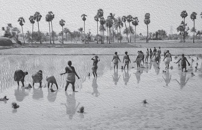 women in farm