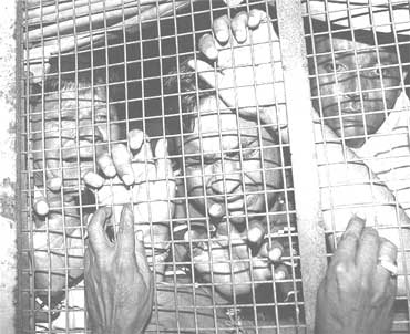 jail_pho_370