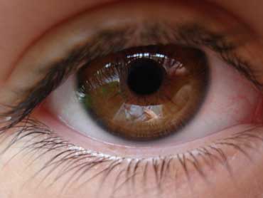 Brown_Eye_370