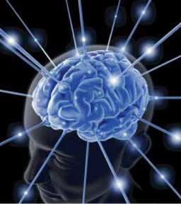 brain_250