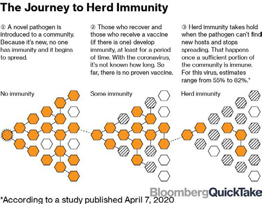 herd immunity