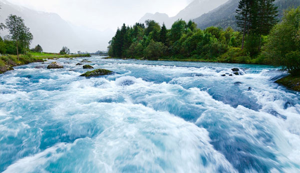 cauvery 347