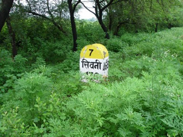 enviromnent_360