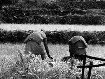 images_370