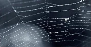 jawahar_spider_net