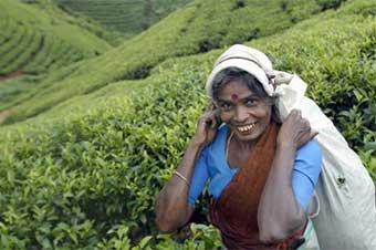 Dalit lady in Malaysia