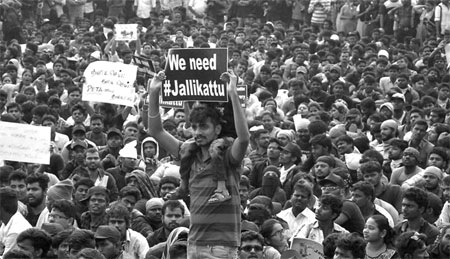 save jalikattu 450