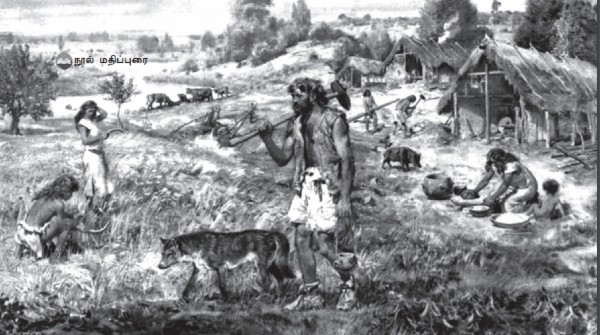 humanbeings 600
