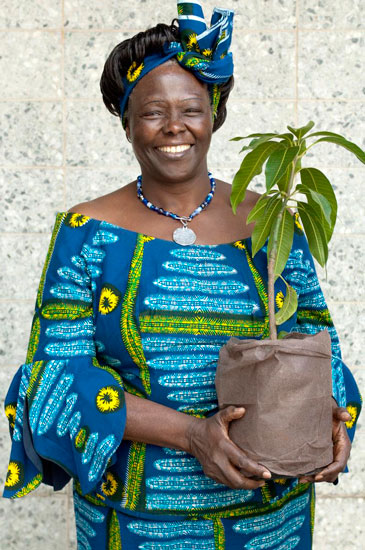 Wangari Maathai