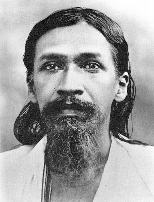 aurobindo