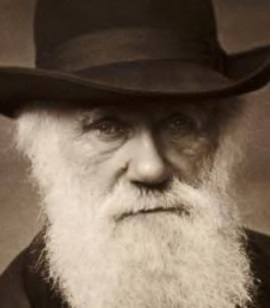 charles darwin 380