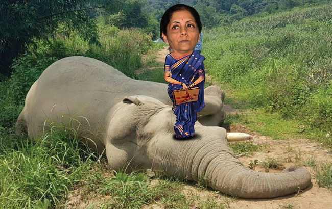 nirmala seetharaman and elephant