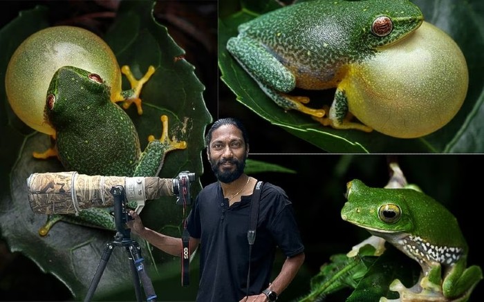 renjith and frog