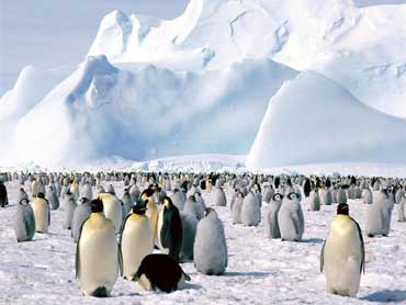 Antarctica_370_copy