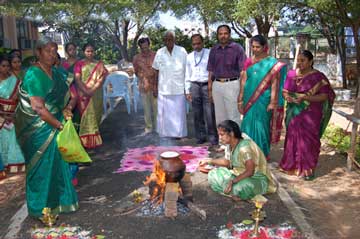 Pongal-festival-celebration