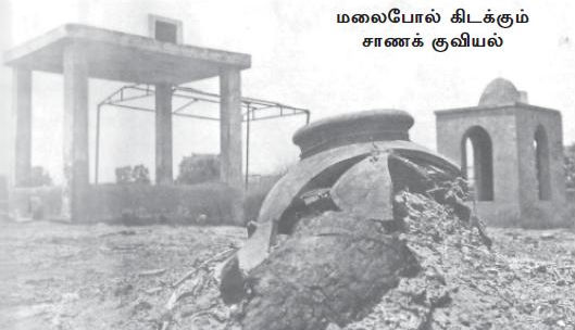hariyana_520