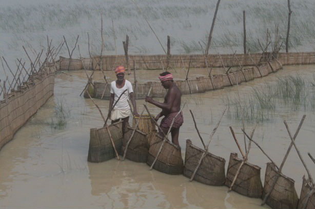kakrapalli_604