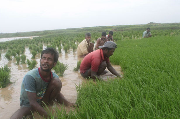 kakrapalli_farmers