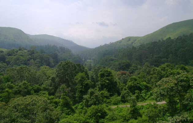 kerala_dam_area_630