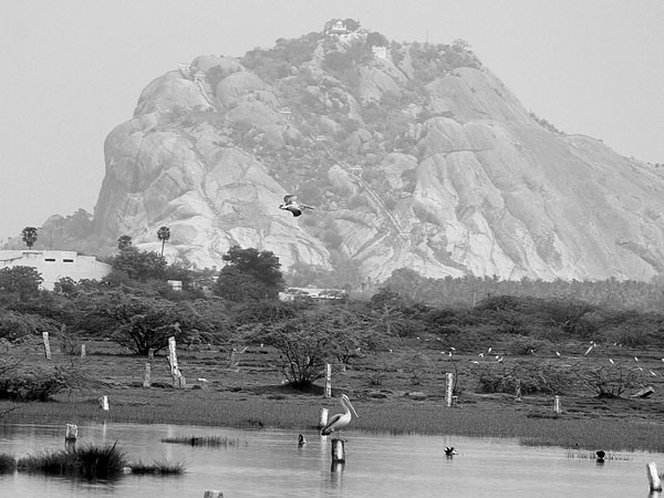 kilakulam