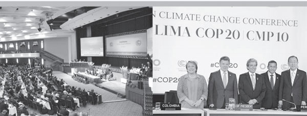 lima 600