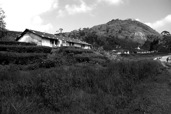 manjolai