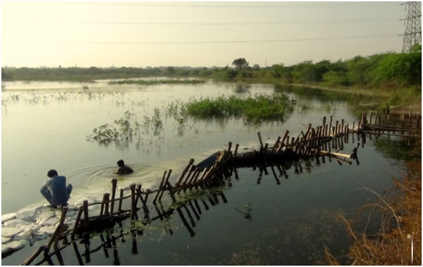 pillaipakkam lake