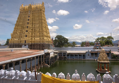 sankarankovil temple
