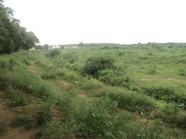 sivakumar-undesilted-Tank