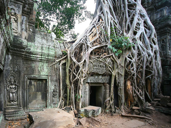 ta prohm