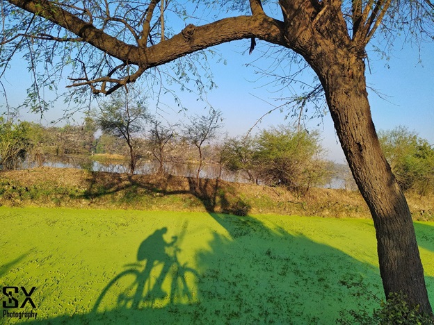 bharatpur bird sanctuary 1