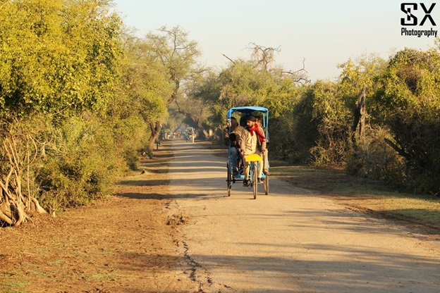 bharatpur bird sanctuary 10