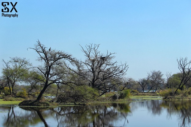 bharatpur bird sanctuary 16