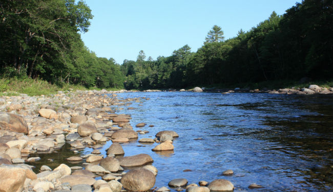 pebble river