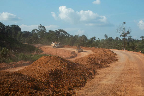 road in amazon