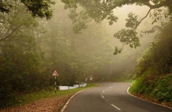 valparai forests