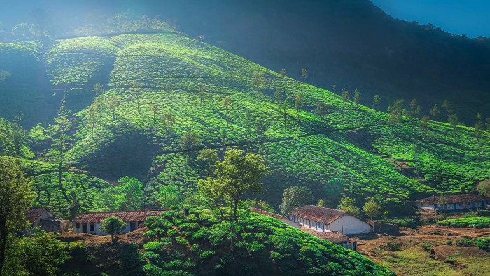 valparai