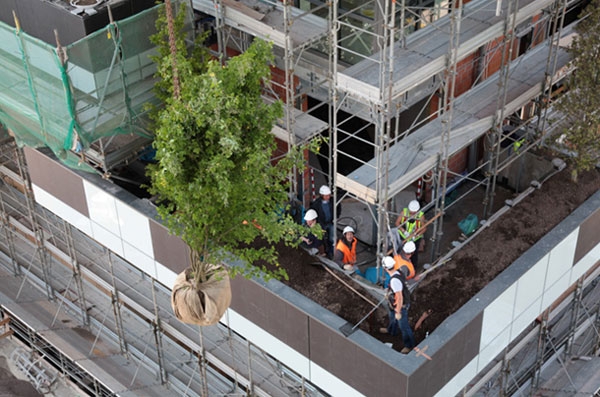 Bosco Verticale 2